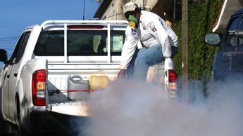 La SS alertó que el mosquito del dengue ahora sobrevive en regiones con bajas temperaturas, elevando la alerta sanitaria / Agencia Cuartoscuro