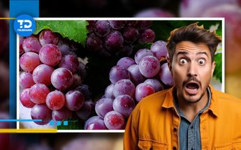 Con el fin de año cerca, miles de familias mexiquenses se preparan para recibir el 2025 con las tradicionales 12 uvas | Especial