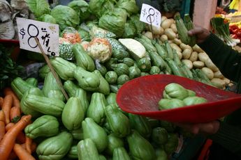 Aumenta precio del chayote