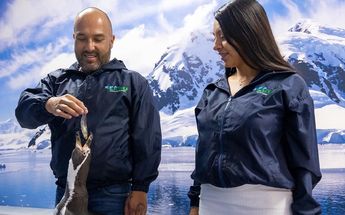 Acuario en Monterrey 2024 | Especial