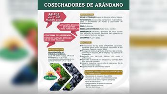 Asegúrate de reunir la documentación solicitada para agilizar tu proceso de contratación | Servicio Nacional del Empleo Puebla