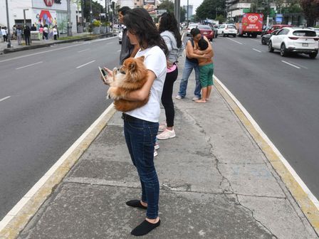 Los camellones sirven para resguardarte durante un sismo | Cuartoscuro