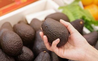 Aguacate mexicano presente en el Super Bowl /Pixabay