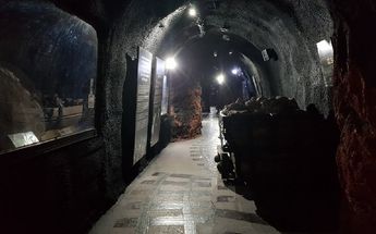 Túnel de Minería, exhibición.