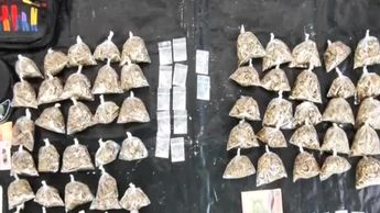 Detienen a seis personas con droga en diferentes operativos en Monterrey; dos son extranjeros