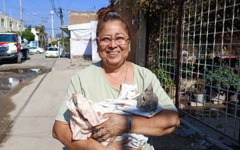 El gatito y su dueña / Juan Carlos Munguía