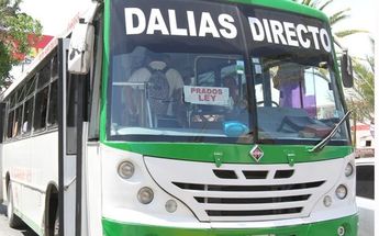 Camión Ruta Sur Dalias atropella a mujer, no se hace responsable