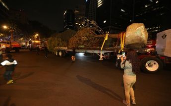 Capitalinos que caminaban por el lugar, aprovecharon para tomarse las primeras fotos. / Jorge Carballo.