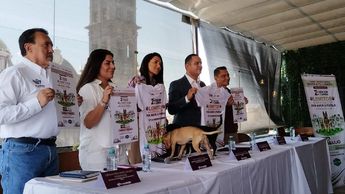 Para garantizar la integridad de los lomitos, el evento contará con asistencia médica especializada y de emergencia | Angélica Tenahua