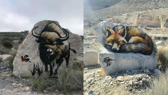 El proyecto funciona como una galería sin paredes, donde el arte se completa cuando un senderista lo encuentra por azar.