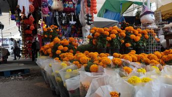 Comerciantes podrán instalarse la noche del 31 de octubre y deberán retirarse la noche del 2 de noviembre | Ulises Raziel Juárez