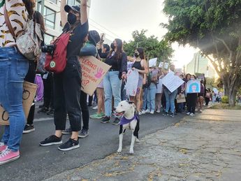 Mujeres de los diferentes contingentes separatistas llevan a sus mascotas | Andrea Ávila