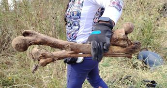 El colectivo de búsqueda ha solicitado el apoyo de las autoridades para trabar con maquinaria pesada | Guerreros Buscadores de Jalisco