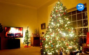 ¿Por qué se dice que el árbol de Navidad se pone el 3 de diciembre? | Cortesía Navidad.es