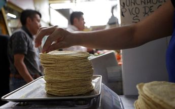 Precio de la tortilla 2023 | Cortesía
