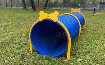 Zona Canina tunel