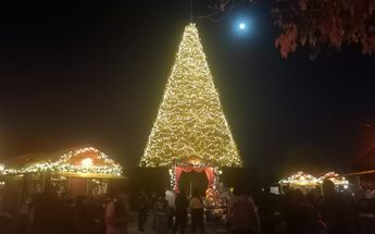 Árbol de Coca Cola en Navidalia / Mayra Ramírez