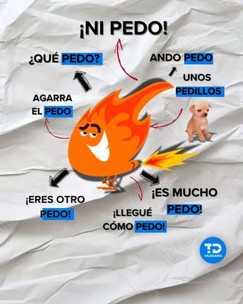 Frases comunes en México en las que se usa la palabra "pedo" / DISEÑO TELEDIARIO