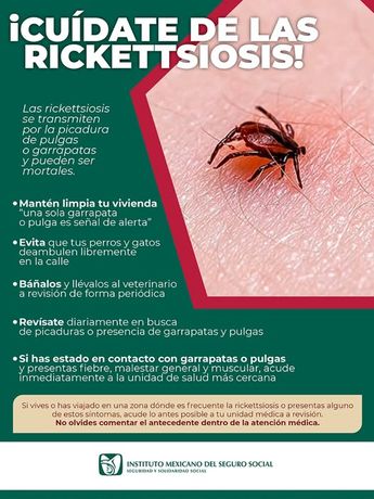 Medidas de prevención contra Rickettsia. | IMSS