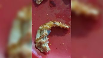 Pizzería Monterrey viral por pedazo de navaja en rebanada: VIDEO