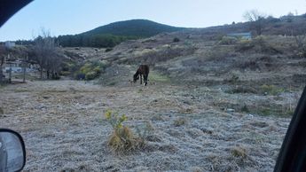 Estas condiciones atípicas para el inicio de la primavera han sido atribuidas al paso de sistemas frontales. | Especial