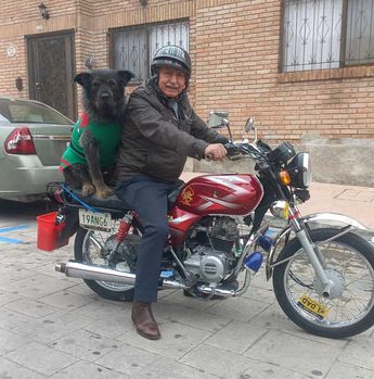 Perrito motociclista se viraliza al pasear vestido de duende.