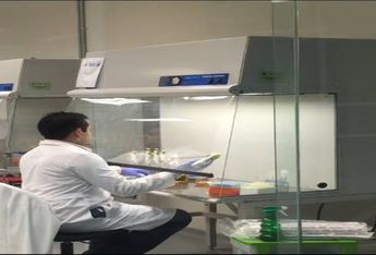 Procesos de investigación en biomoléculas / Alma Paola Wong