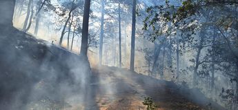 Protección Civil, así como otras corporaciones de rescate intentan sofocar el fuego. | Cortesía