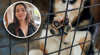 Cristina Rivera, activista que denunció el sacrificio ilegal de los perritos en Chapala | Especial