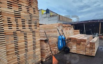 Aseguran aserraderos clandestinos en Chalco, Edomex | Osvaldo Müller