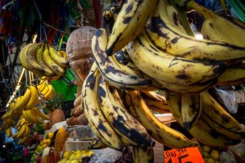 El calor afecta a los vendedores de frutas y verduras; reducen sus ventas / Agencia Es Imagen