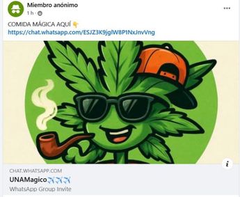 En WhatsApp, el chat “UNAMagico” ofrece LSD, brownies y Wax (cannabis concentrado), para entregar en cualquier plantel | Alma Paola Wong