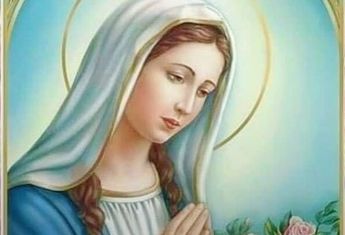Inmaculada concepción | ESPECIAL