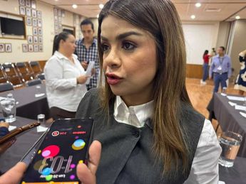 La Presidenta de la Comisión de Hacienda y Presupuestos, Gabriela Cárdenas, espera resultados positivos para la iniciativa | Tony Martinez