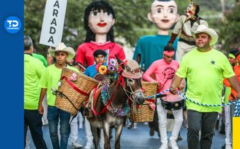 Fiona la burrita puntera de las callejoneadas en Santiago | Gobierno de Santiago, NL