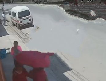 Al notar que nadie vigilaba al can, el hombre se paró a un costado de su vehículo para luego robar el cuerpo del perrito atropellado / Especial