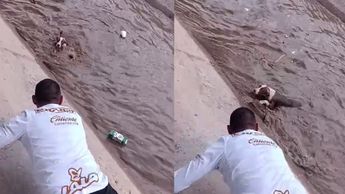 Ciudadano salva a perrito que los arrastraba la corriente en canal de San Pedro