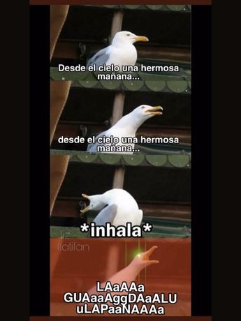 Itatí Cantoral La Guadalupana