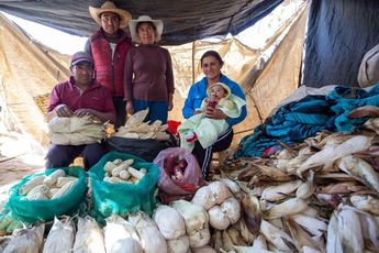 Familias de Chalchicomula de Sesma preparan el totomoxtle | Andrés Lobato