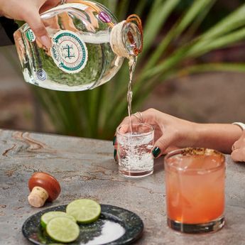 busca por fortalecer la colaboración entre asociaciones de productores de bebidas tradicionales como el sotol | Foto del gloriavalles