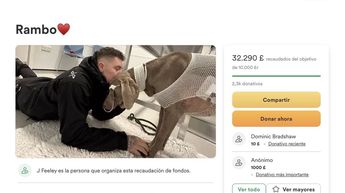 A través de GoFoundMe se consiguió pagar el tratamiento de 'Rambo'