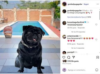 El Gordo Aguilar tiene su propia cuenta de Instagram. Foto: Captura de pantalla.