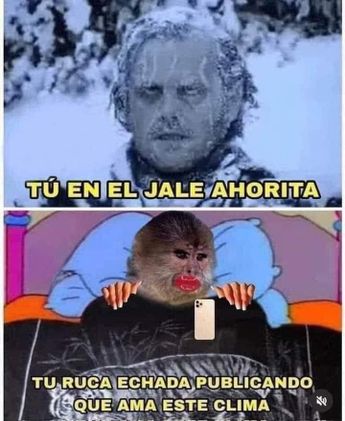 Los mejores memes por el frío en Monterrey | Especial