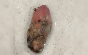 Salchicha en descomposición encontrada en una sucursal de Walmart /Cortesía
