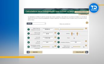 Calculadora IMSS