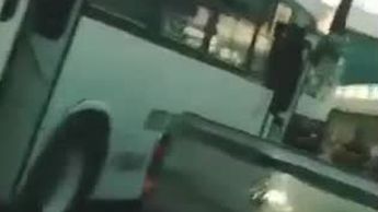 Camión de Ruta Dalias choca auto por pasarse el alto