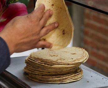 La tortilla es un alimento fundamental en la dieta de los mexicanos