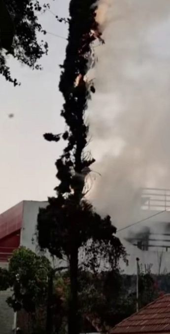 El rayo impactó de lleno contra un pino del fraccionamiento El Cultural, causando asombro de los vecinos / Especial
