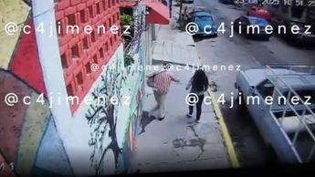 Dos de los cuatro perros que atacaron a don Marco en San Felipe de Jesús son de la raza pitbull | Telediario