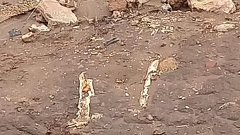 El hallazgo de los restos óseos generó una intensa movilización en la zona | Guadalupe Trejo